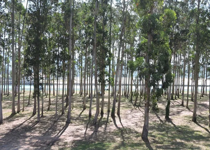 Apartamento Pie De Playa, El Puntal-Villaviciosa